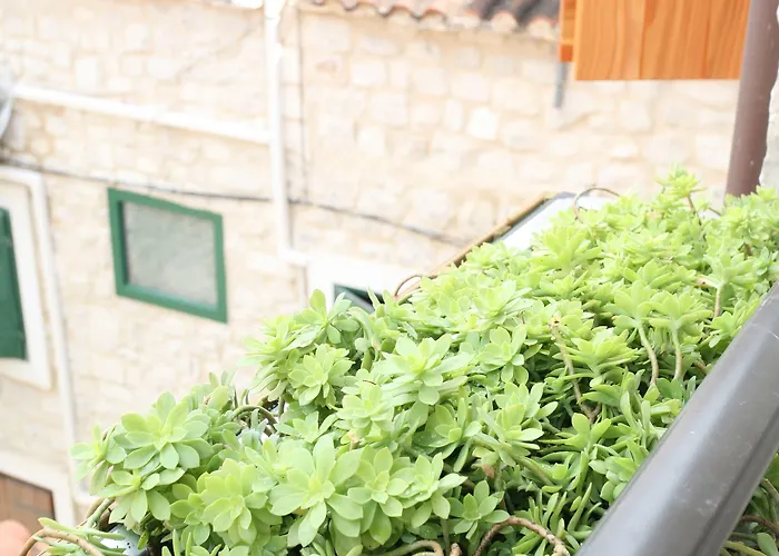 Heritage Stone House Beljan - Old Town Pensionat