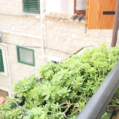 Beljan Maison d'hôtes